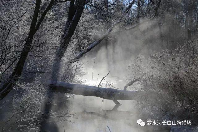 世界被忽视热带病日——团结、行动、消除