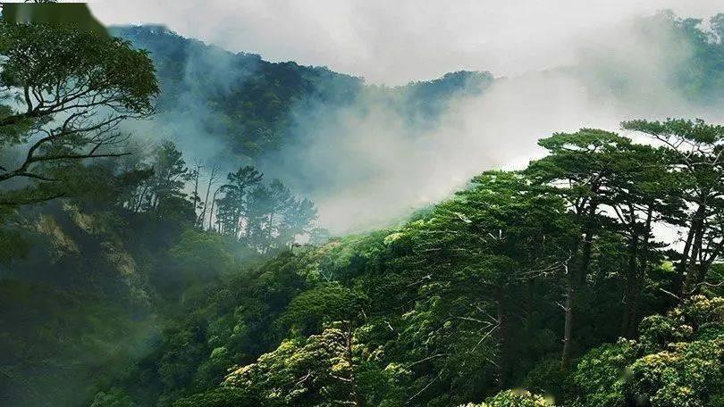 关注 | 全市卫健系统科研能力提升研修班开班