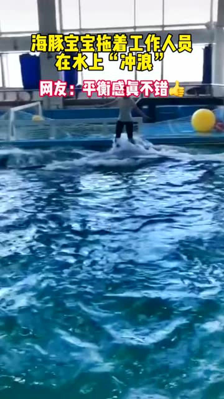 观察者